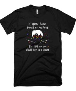 If-Harry-Potter-Taught-Us-Anything-It-S-That-No-On-T-Shirt
