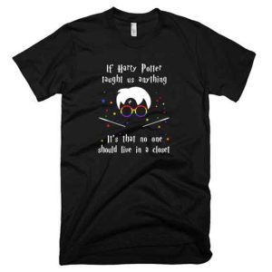 If-Harry-Potter-Taught-Us-Anything-It-S-That-No-On-T-Shirt
